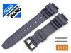 CASIO AE-1000W-2AV oryginalny pasek 18 mm 10515884